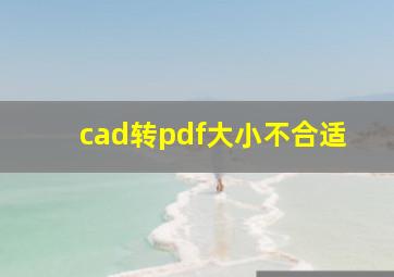 cad转pdf大小不合适