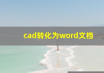 cad转化为word文档