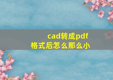 cad转成pdf格式后怎么那么小