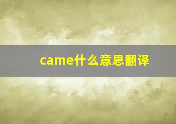 came什么意思翻译