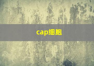 cap细胞