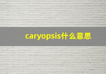 caryopsis什么意思