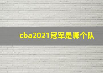 cba2021冠军是哪个队