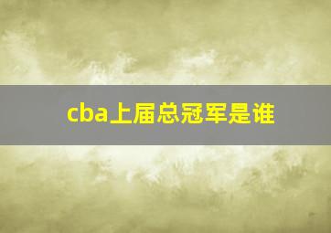 cba上届总冠军是谁