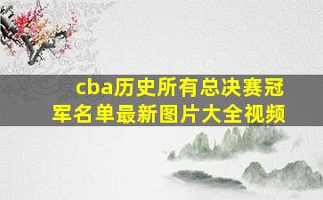 cba历史所有总决赛冠军名单最新图片大全视频