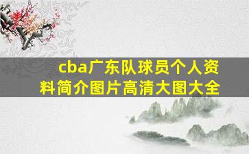 cba广东队球员个人资料简介图片高清大图大全