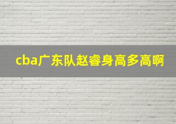 cba广东队赵睿身高多高啊