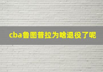 cba鲁图普拉为啥退役了呢