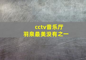 cctv音乐厅羽泉最美没有之一