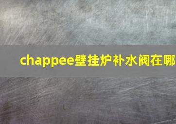 chappee壁挂炉补水阀在哪