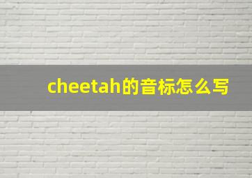 cheetah的音标怎么写