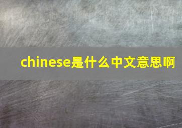 chinese是什么中文意思啊