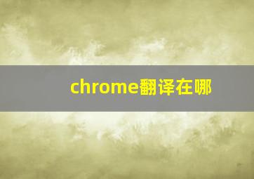 chrome翻译在哪