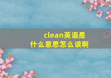 clean英语是什么意思怎么读啊