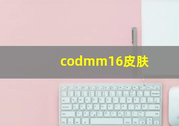 codmm16皮肤