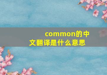 common的中文翻译是什么意思