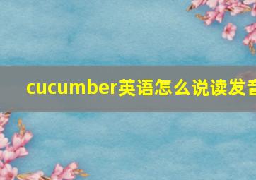 cucumber英语怎么说读发音