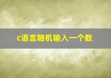 c语言随机输入一个数