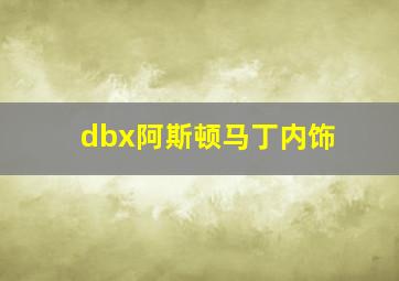 dbx阿斯顿马丁内饰