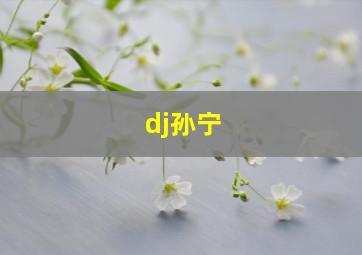 dj孙宁