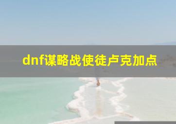 dnf谋略战使徒卢克加点