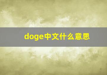 doge中文什么意思