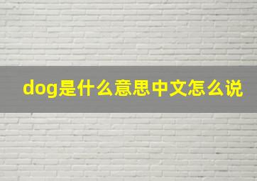 dog是什么意思中文怎么说