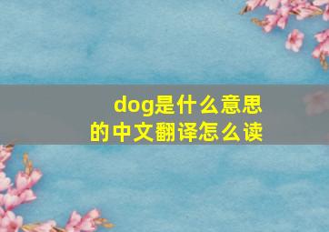 dog是什么意思的中文翻译怎么读