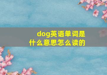 dog英语单词是什么意思怎么读的