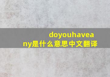 doyouhaveany是什么意思中文翻译