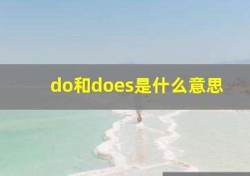 do和does是什么意思