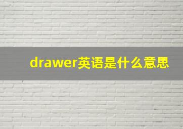 drawer英语是什么意思