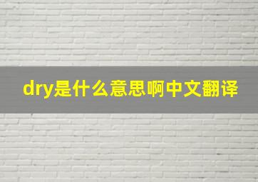 dry是什么意思啊中文翻译