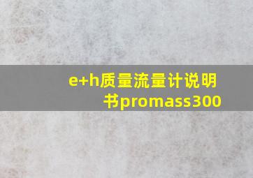 e+h质量流量计说明书promass300