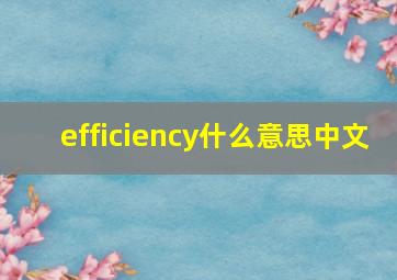 efficiency什么意思中文