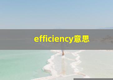 efficiency意思