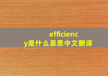 efficiency是什么意思中文翻译