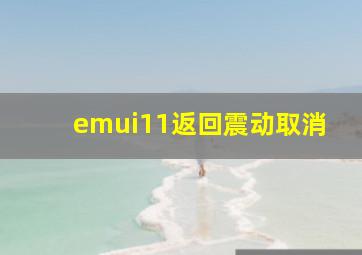 emui11返回震动取消