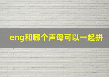 eng和哪个声母可以一起拼