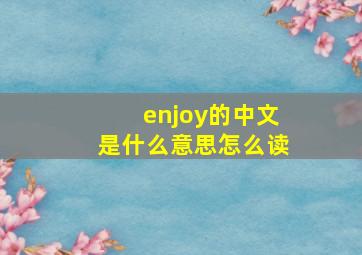 enjoy的中文是什么意思怎么读