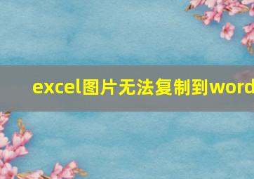 excel图片无法复制到word