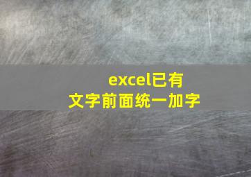 excel已有文字前面统一加字