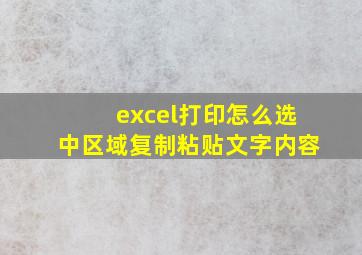 excel打印怎么选中区域复制粘贴文字内容