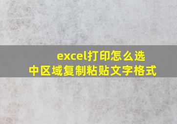 excel打印怎么选中区域复制粘贴文字格式