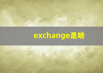 exchange是啥