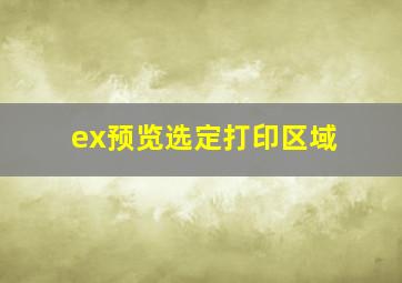 ex预览选定打印区域