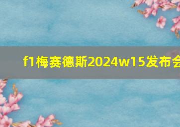 f1梅赛德斯2024w15发布会