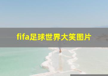 fifa足球世界大笑图片