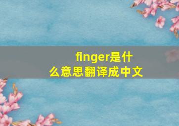 finger是什么意思翻译成中文