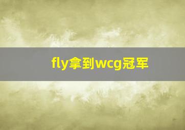 fly拿到wcg冠军